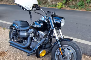 Harley-Davidson 