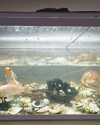 Acquario 60 litri completo