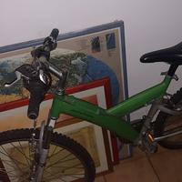 Bicicletta Usata
