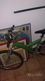 Bicicletta Usata