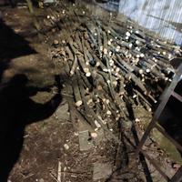 Legna per camini e stufe