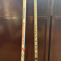 Canne da pesca bolognesi 7 e 8 metri