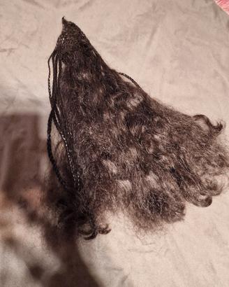 coda capelli