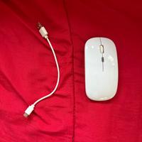 Mouse Wireless con cavo