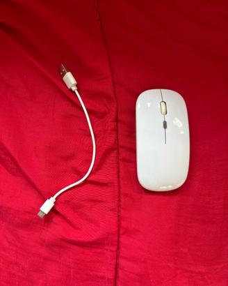 Mouse Wireless con cavo