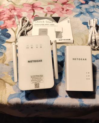 Netgear access point 