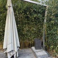 4 Ombrelloni da Giardino