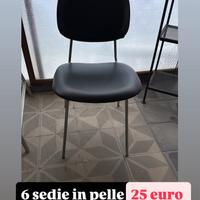 6 sediein pelle