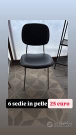 6 sediein pelle