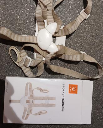 cinture stokke