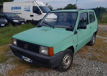 Fiat Panda 900 i.e. cat Young