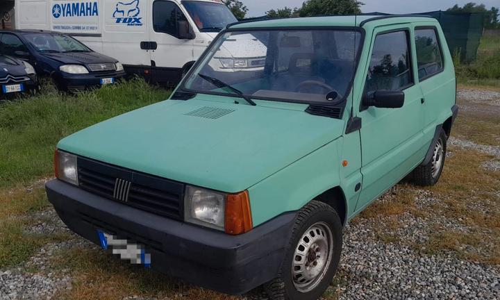 Fiat Panda 900 i.e. cat Young