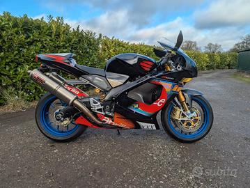 motore Colin Edwards aprilia rsv mille 1000 