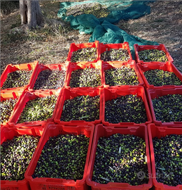Giardiniere manutentore del verde