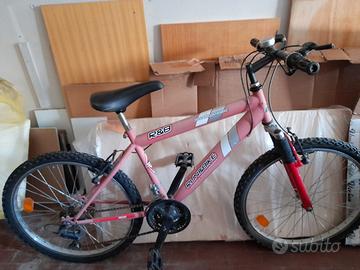 bicicletta  bimba anni 12