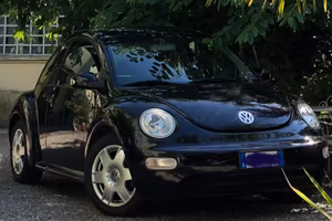New Beetle