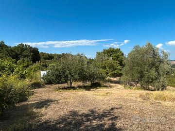 Terreno agricolo località Crocino-collesalvetti