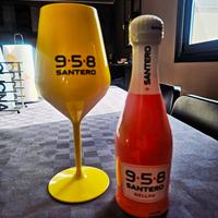 Calice con bottiglia Santero