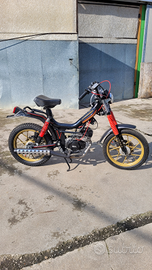 Mzv cambridge cobra ss