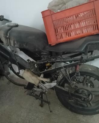 telaio Yamaha tzr 50