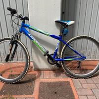 Mountain bike ragazzo