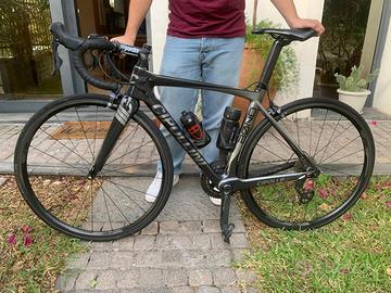 Cipollini Bond