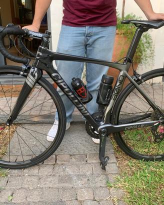 Cipollini Bond