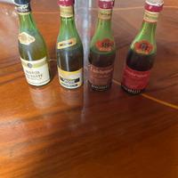 Bottiglie mignon lambrusco Giacobazzi
