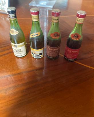 Bottiglie mignon lambrusco Giacobazzi