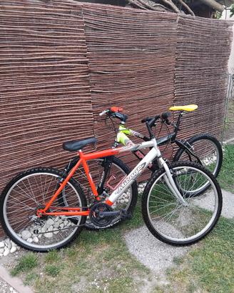 2 biciclette MTB 26