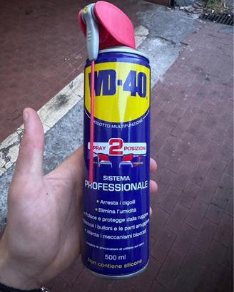 grasso spry e wd 40 svitol