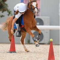 PONY 135 cm per MOUNTED GAMES e passeggiate