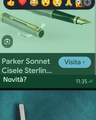 Aurora Hastil cambio con Parker Sonnet stilo