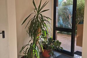 Appartamento mansardato