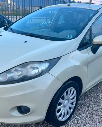 Ford Fiesta 1.2 82 CV 5 porte Titanium