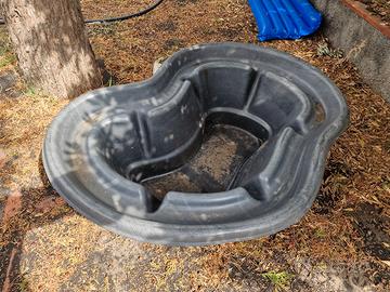 vasca esterna pesci tartarughe