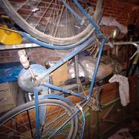 bici da uomo con freni a bacchetta