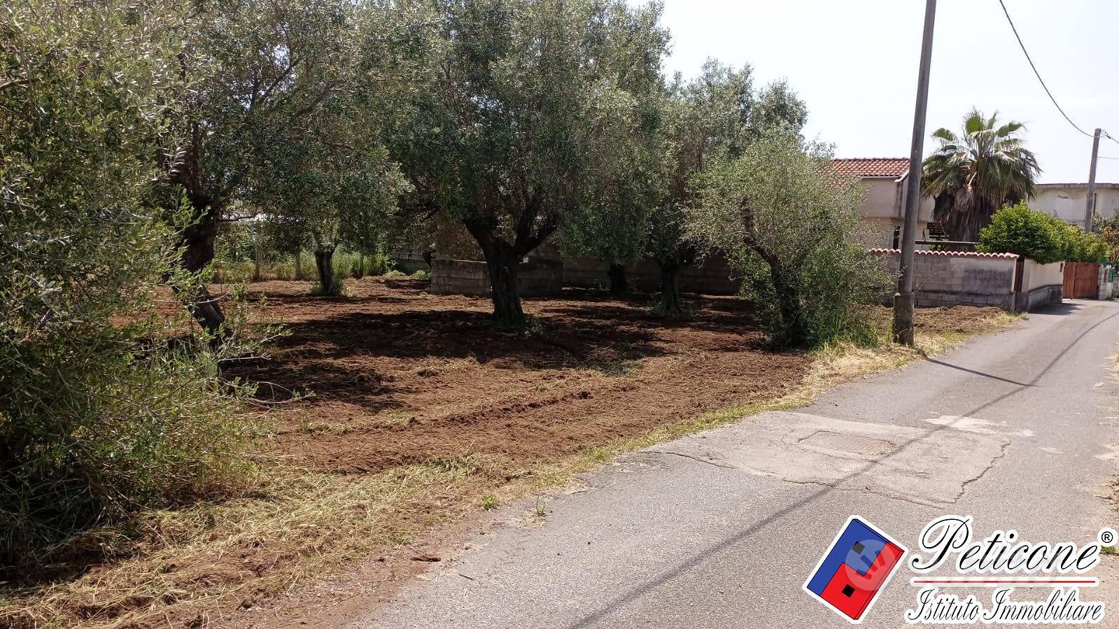 Terreno agricolo - Fondi - Vista 4