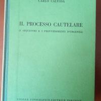 Il processo cautelare - C.Calvosa