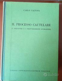 Il processo cautelare - C.Calvosa