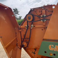 Rotaballa gallignani