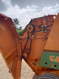 Rotaballa gallignani