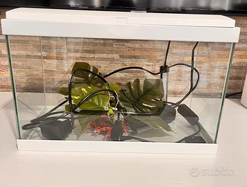 Acquario con luce led