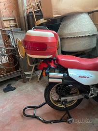Transalp 600V