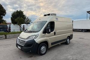 Fiat ducato 2.3 mjet frigo trasporto carne atp 09-