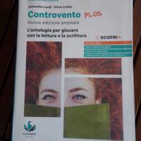 Controvento plus