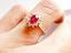 Immagine 7