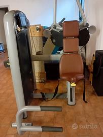 Technogym vertical traction 