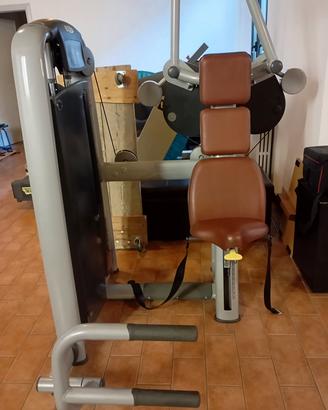 Technogym vertical traction 