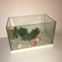 Acquario x tartaruga